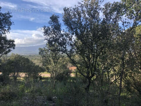 Terrain à FIGARI