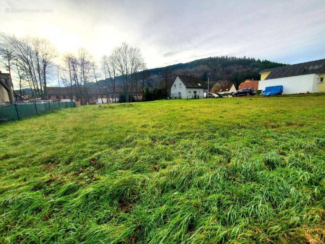 Terrain à SCHIRMECK