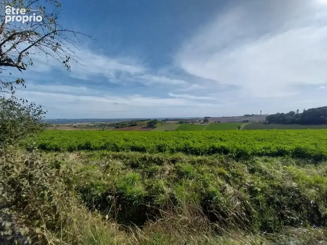 Ancienne maison de vigneron de charme avec piscine et vue panoramique sur la campagne - photo 18