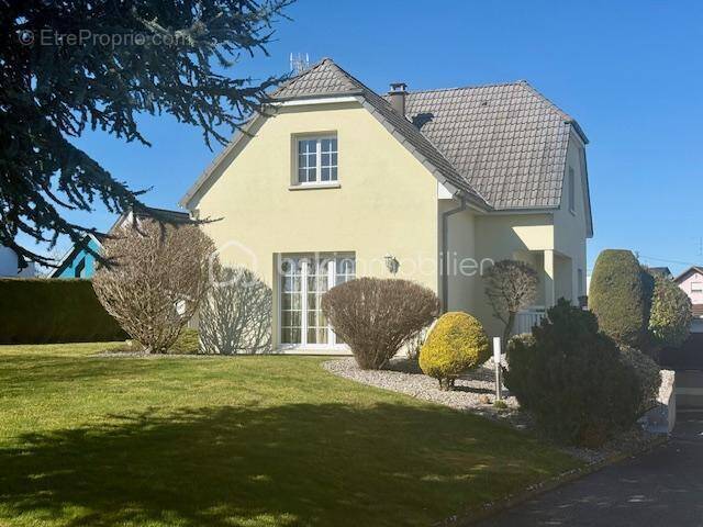 Maison à BARTENHEIM