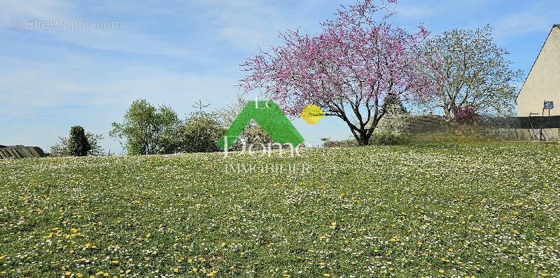 Terrain à AMBLAINVILLE