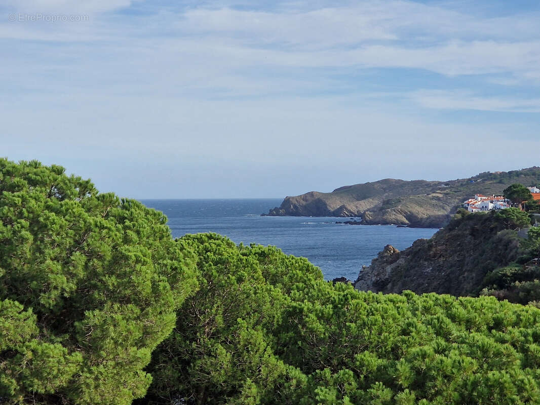Appartement à BANYULS-SUR-MER