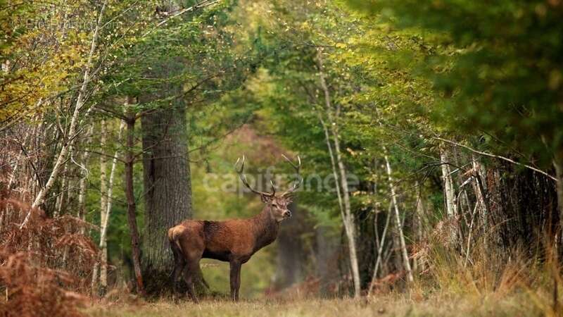 Commerce à LAMOTTE-BEUVRON