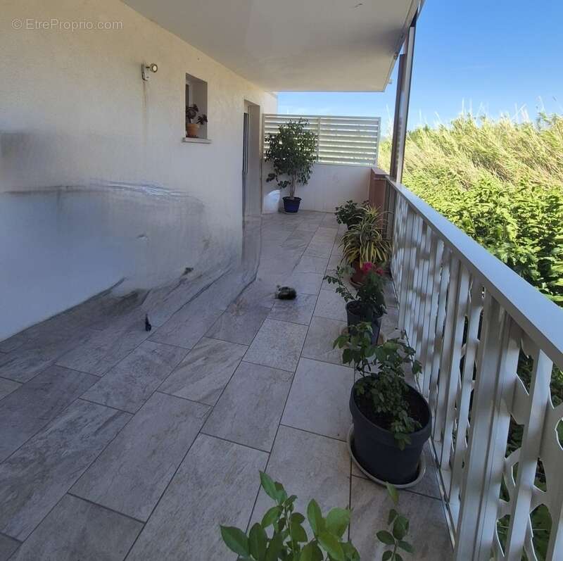 Appartement à CALVI