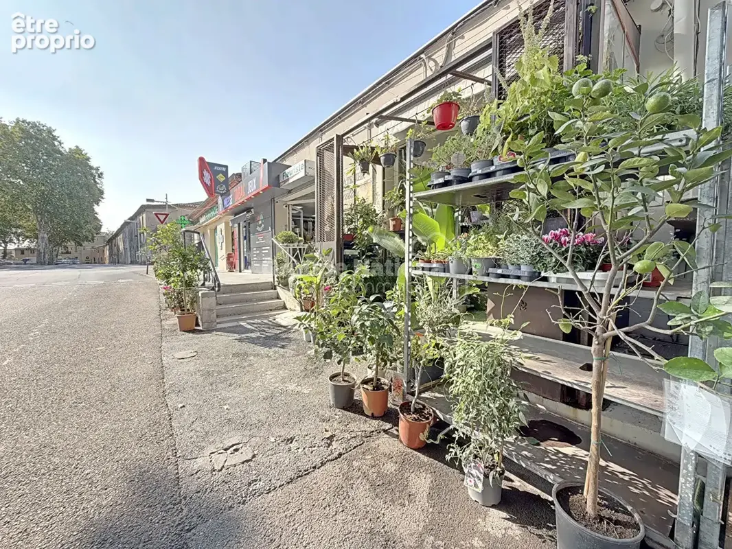 Fleuriste - fonds de commerce - marsillargues 34590 - photo 2