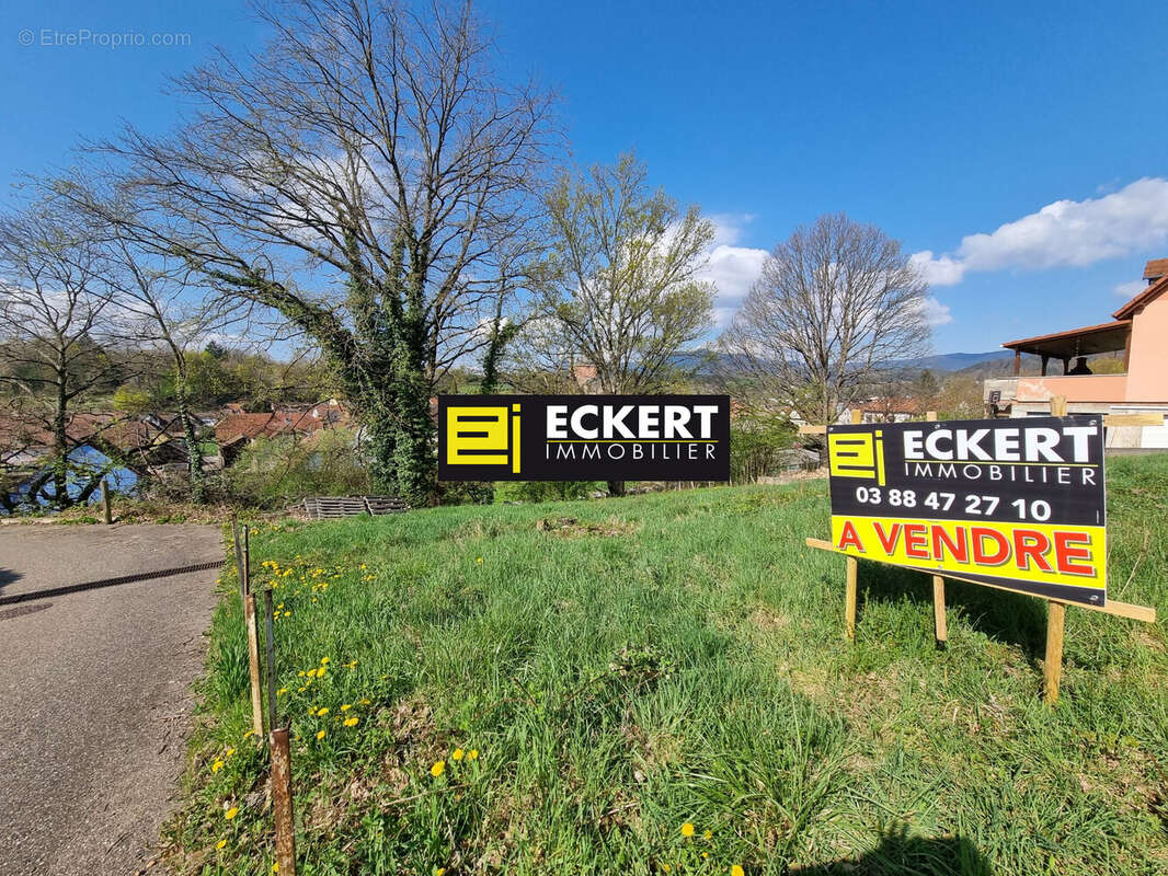 Terrain à NIEDERHASLACH