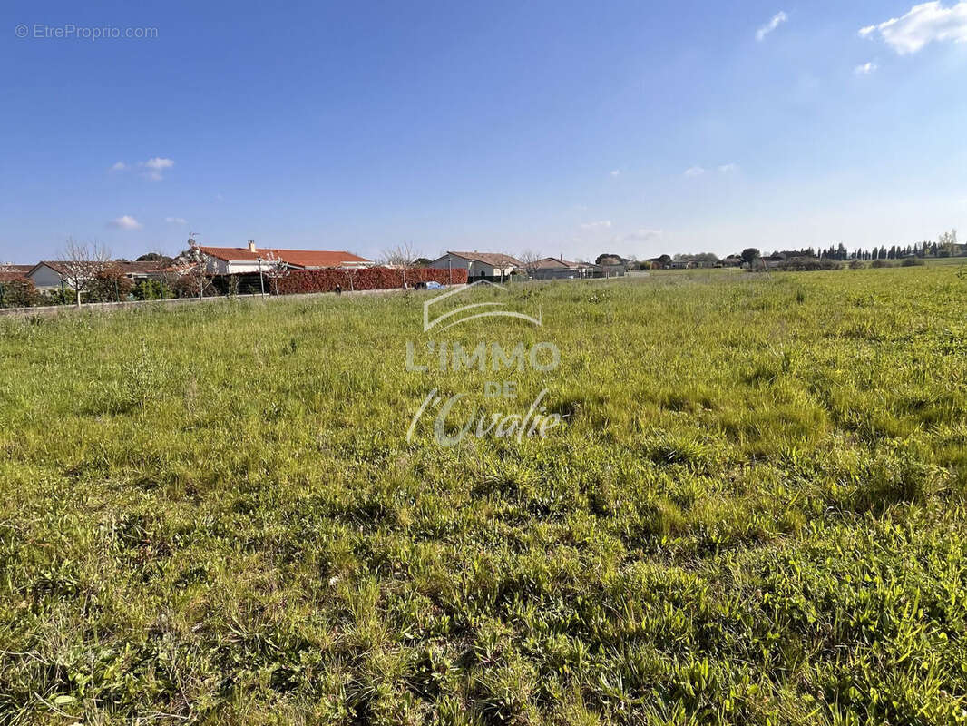 Terrain à LE BURGAUD