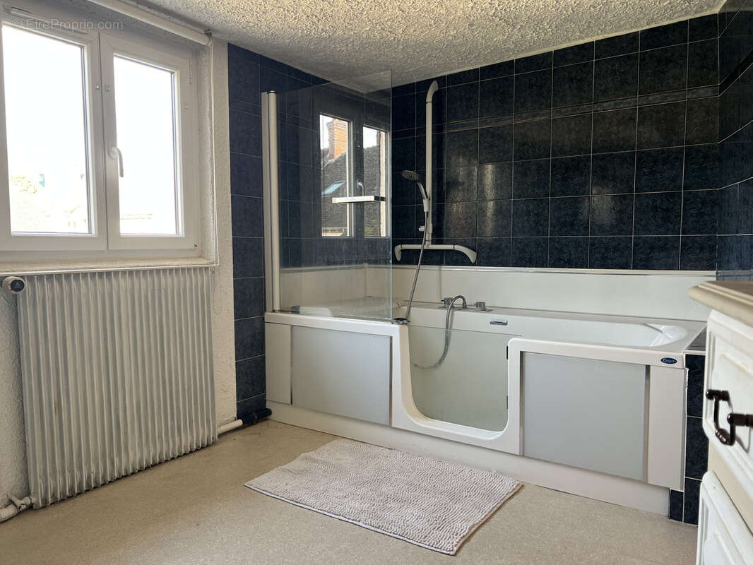 Maison à SAMOIS-SUR-SEINE