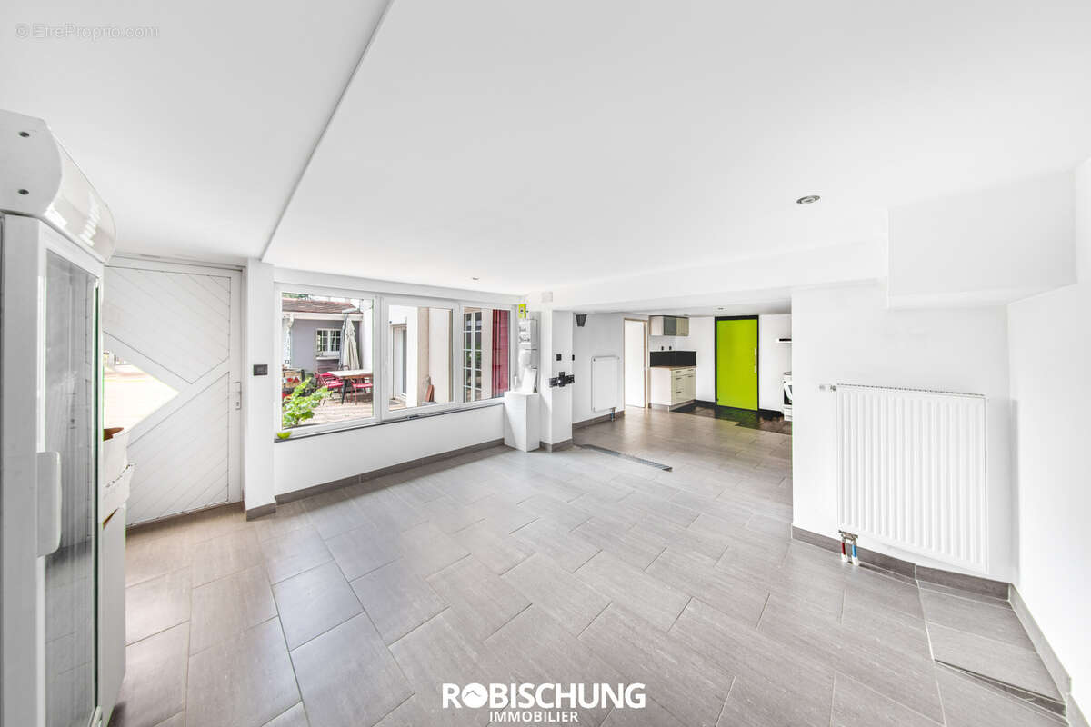 Secteur DANNEMARIE : Ensemble immobilier - photo 8