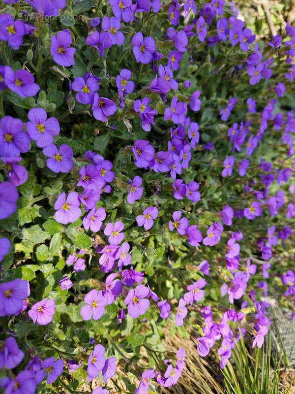 Terrain à SEBAZAC-CONCOURES