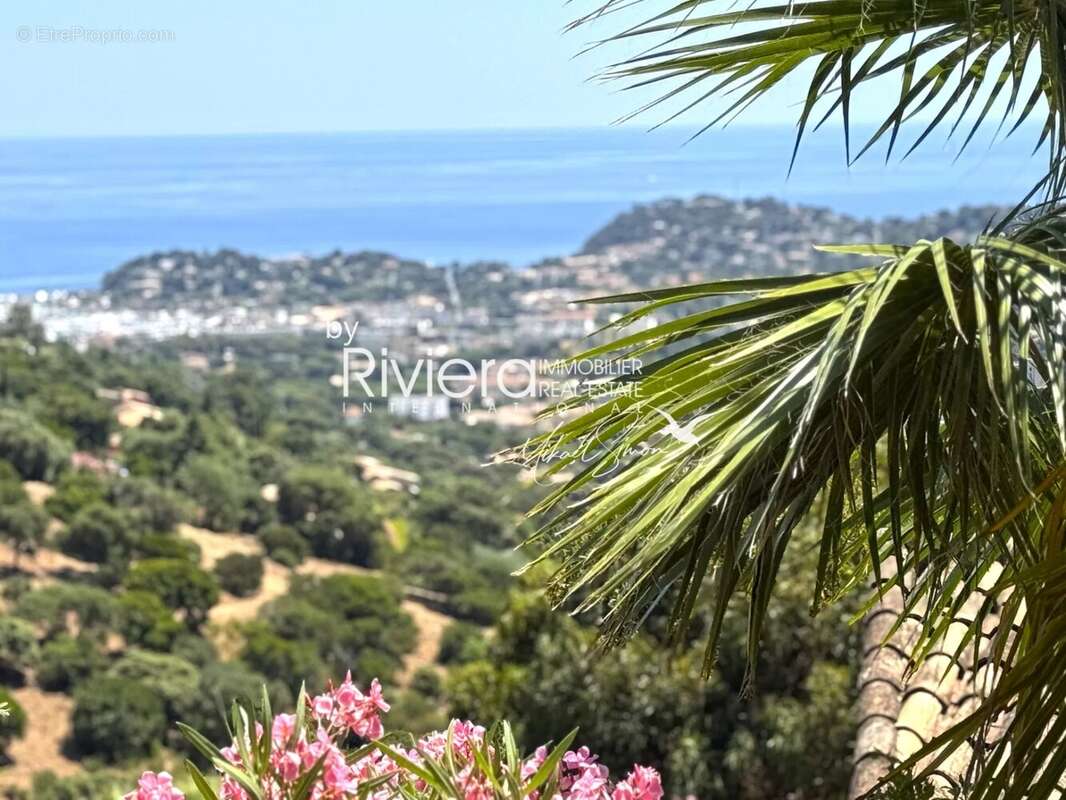 Propriete avec piscine a debordement et vue mer ! - photo 4