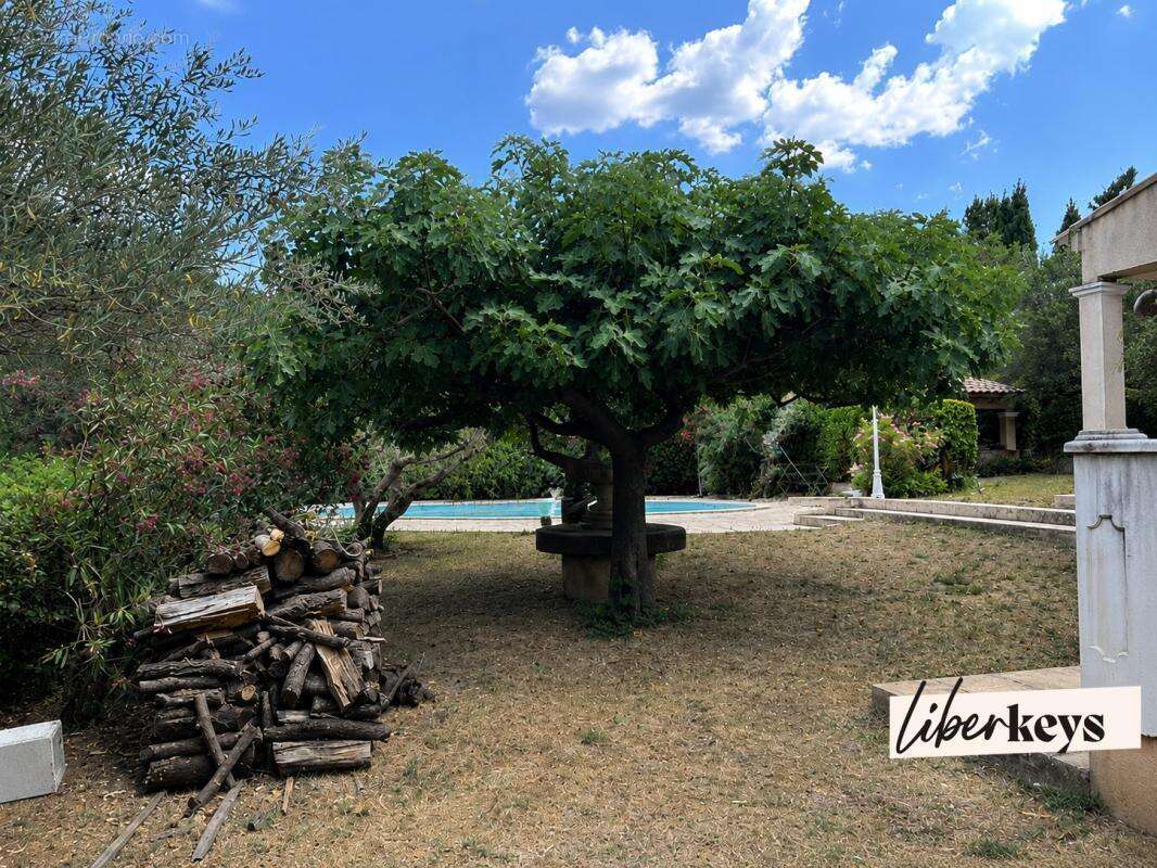 À vendre – Élégante propriété avec piscine et oliveraie à deux pas du magnifique village de Cotignac - photo 17