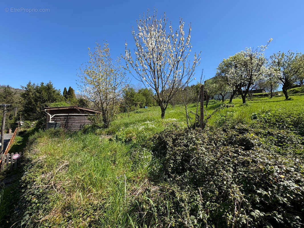 Maison à SAINT-AMANS-VALTORET