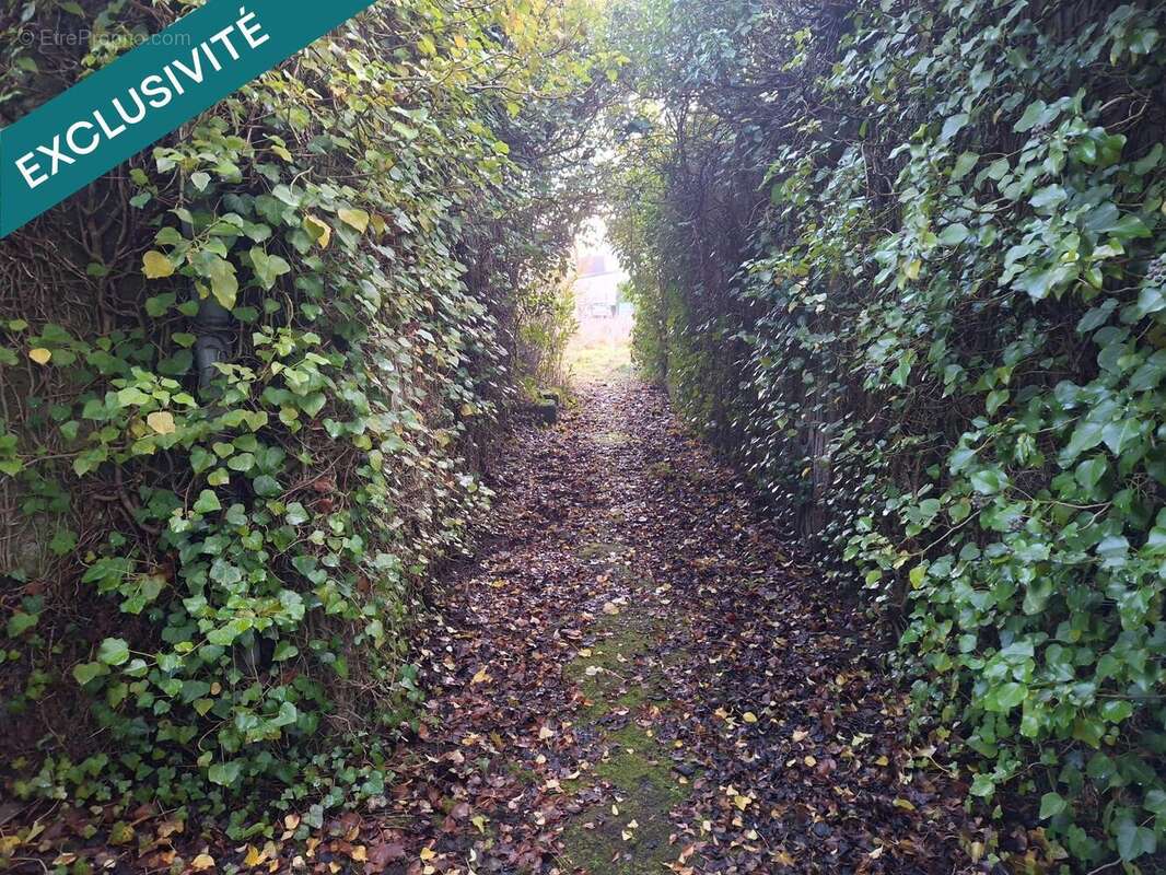 Photo 4 - Maison à PETITE-ROSSELLE