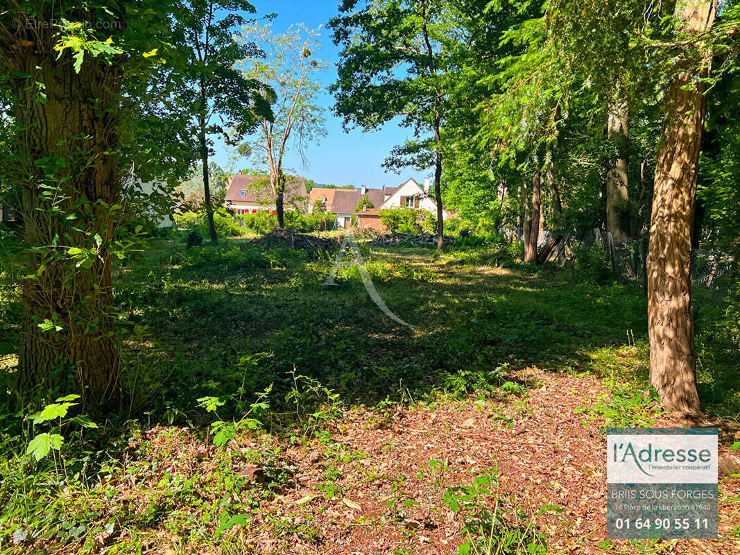 Terrain à BRIIS-SOUS-FORGES