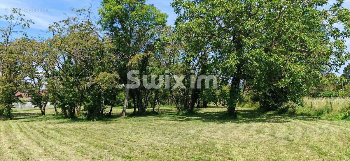 Terrain à CHAMPVANS