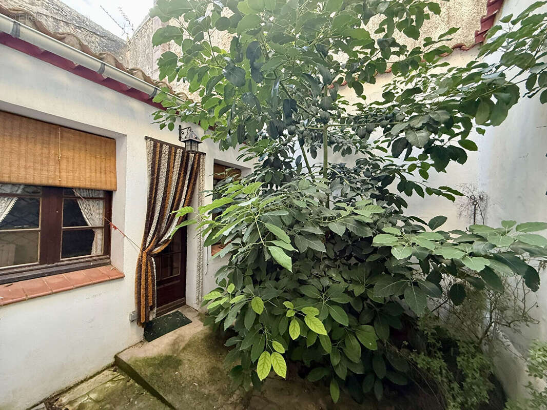 Grande maison de village type 8 à rénover avec garage, patio et volumes généreux à Trèbes - photo 2