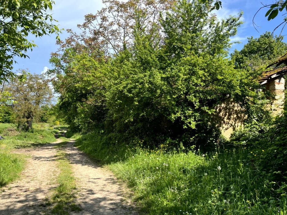 Maison à CONDEISSIAT