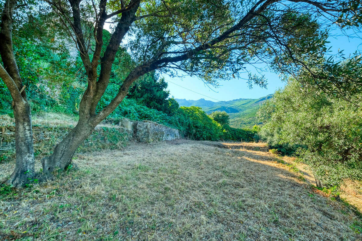 Terrain à BRANDO