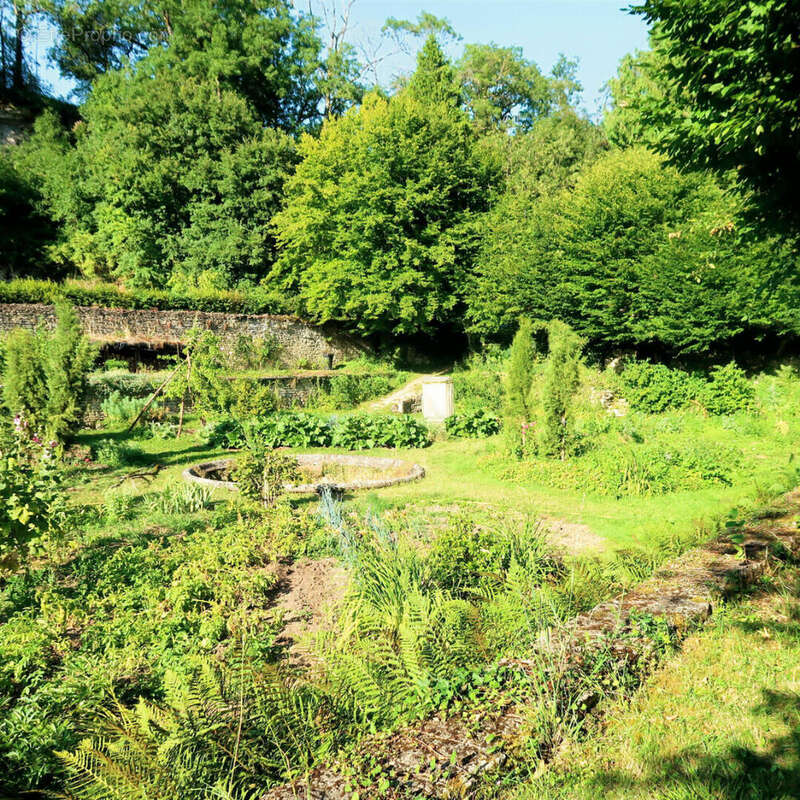 Commerce à SOMBERNON