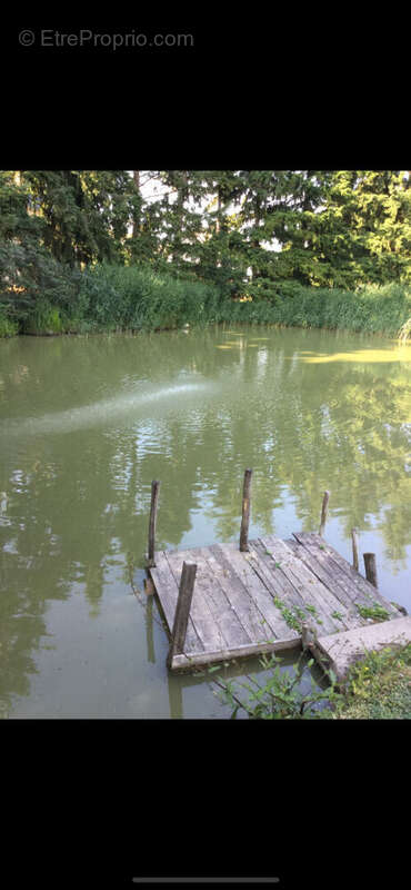 Maison à CHAMBON-LA-FORET