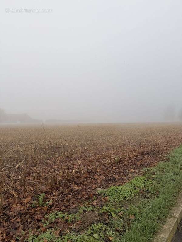 Terrain à bâtir de 766 m² à AVRAINVILLE (91) - photo 2