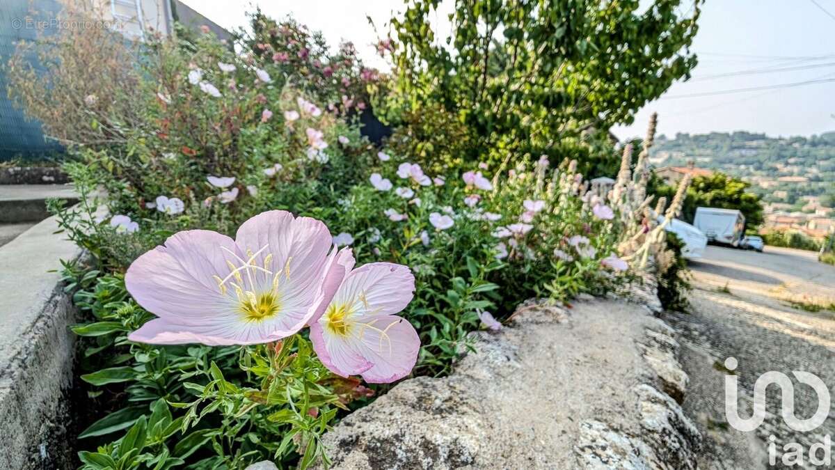 Photo 3 - Maison à APT