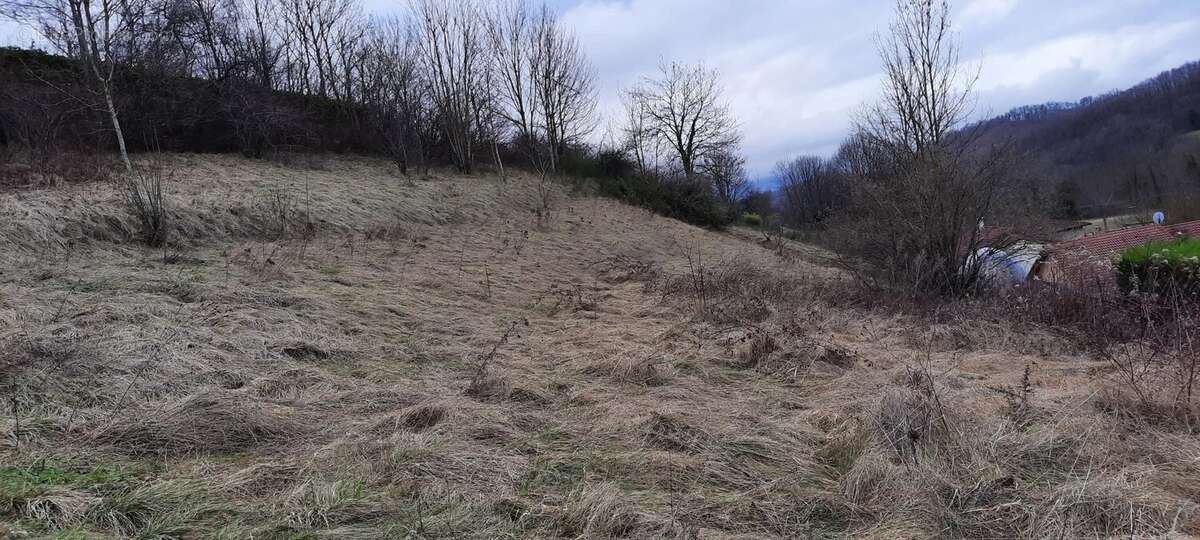 Terrain à VARACIEUX