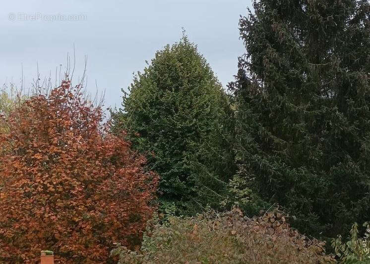 Appartement à FOURQUEUX
