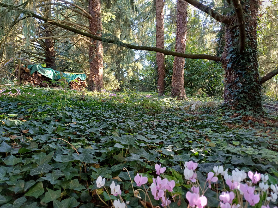 Maison à LA FERRIERE