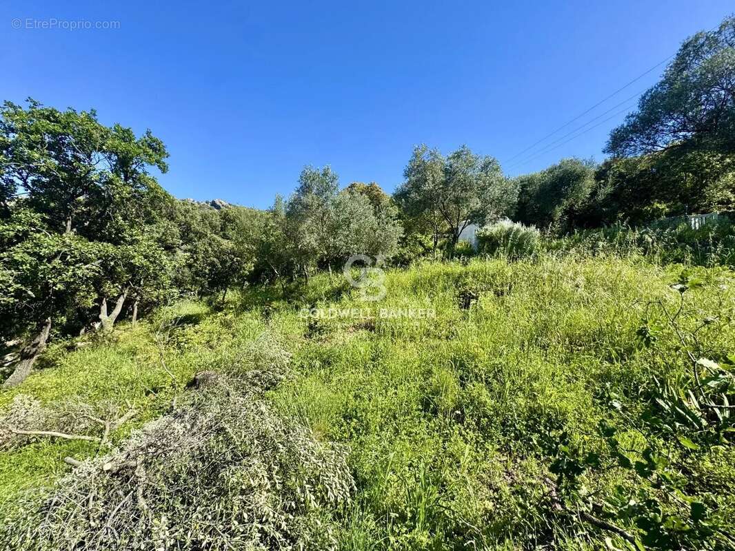 Terrain à MONTICELLO