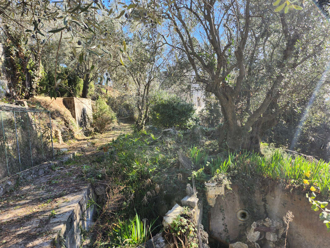 Terrain à SAINT-BLAISE