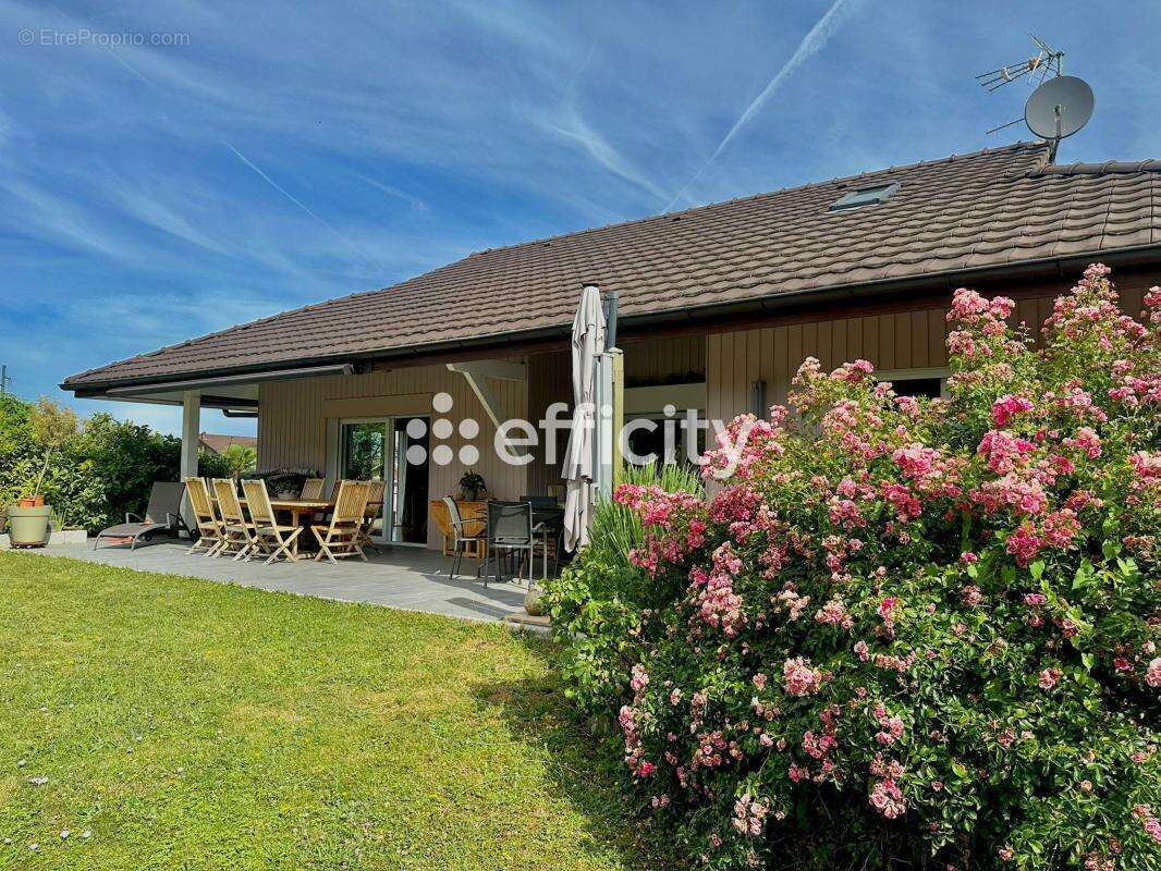 Maison à EVIAN-LES-BAINS