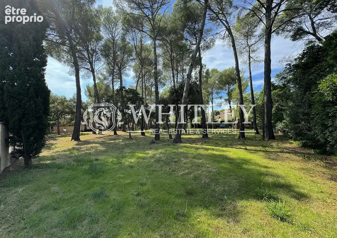 Villa rare à la vente avec grand terrain de plus de 5000 m2 et piscine - photo 13