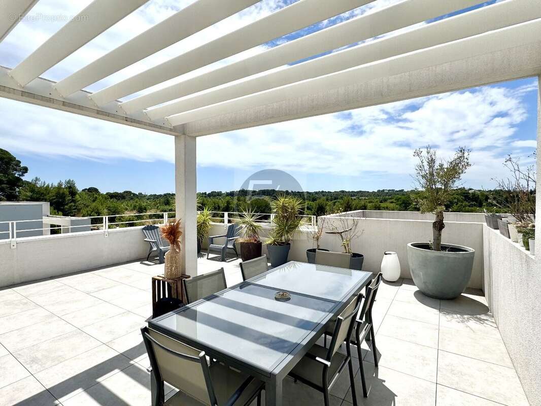 Appartement à MONTPELLIER