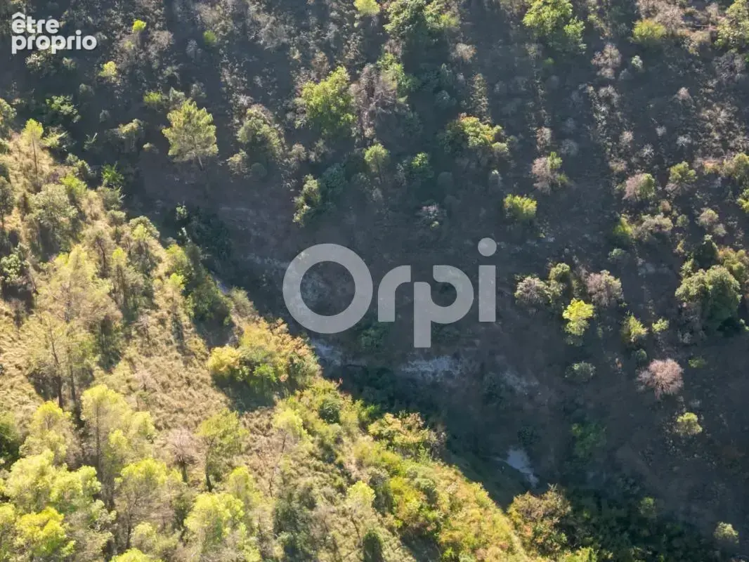 Terrain non constructible à vendre - photo 10
