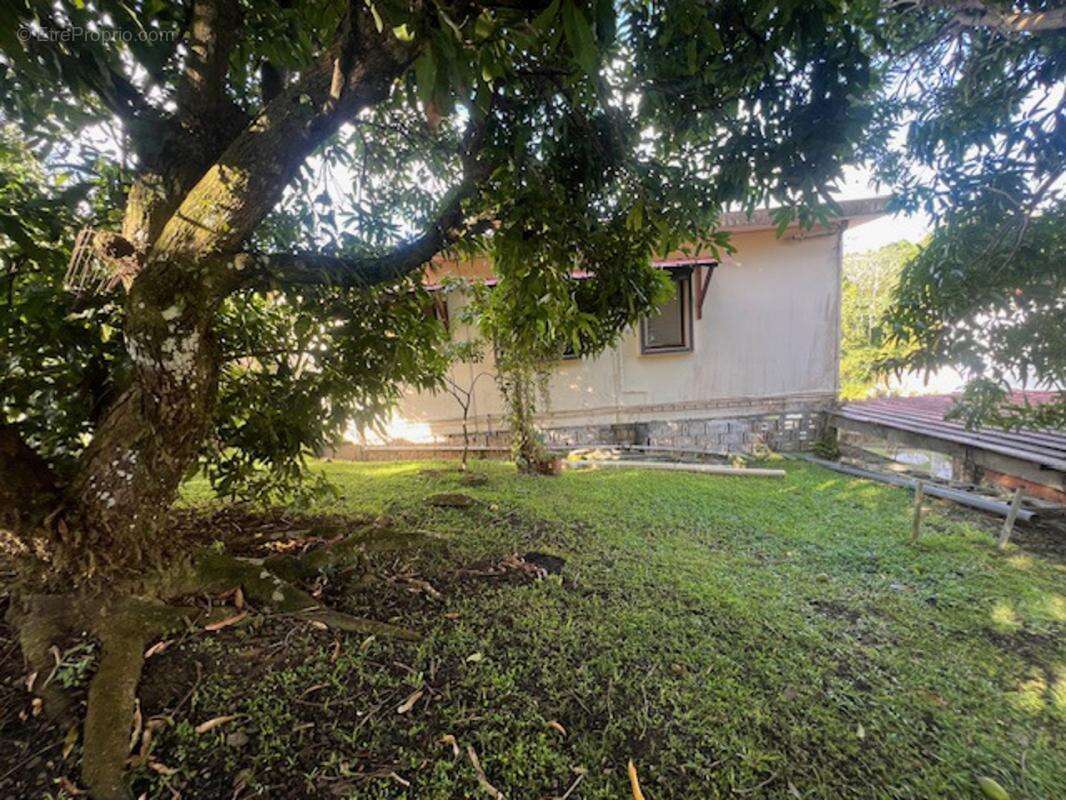 Appartement à FORT-DE-FRANCE