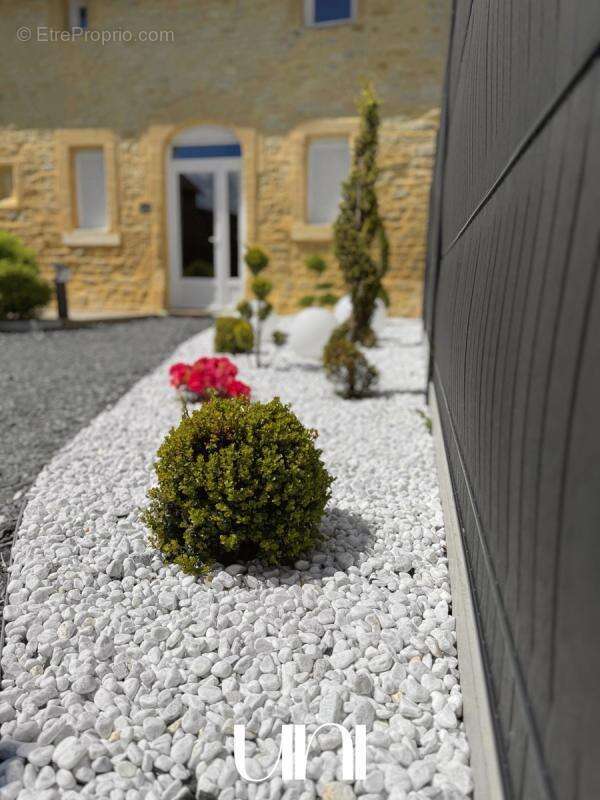 Maison à SAINT-MARTIN-DES-ENTREES