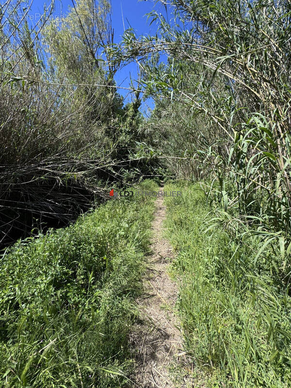 Terrain à PERPIGNAN