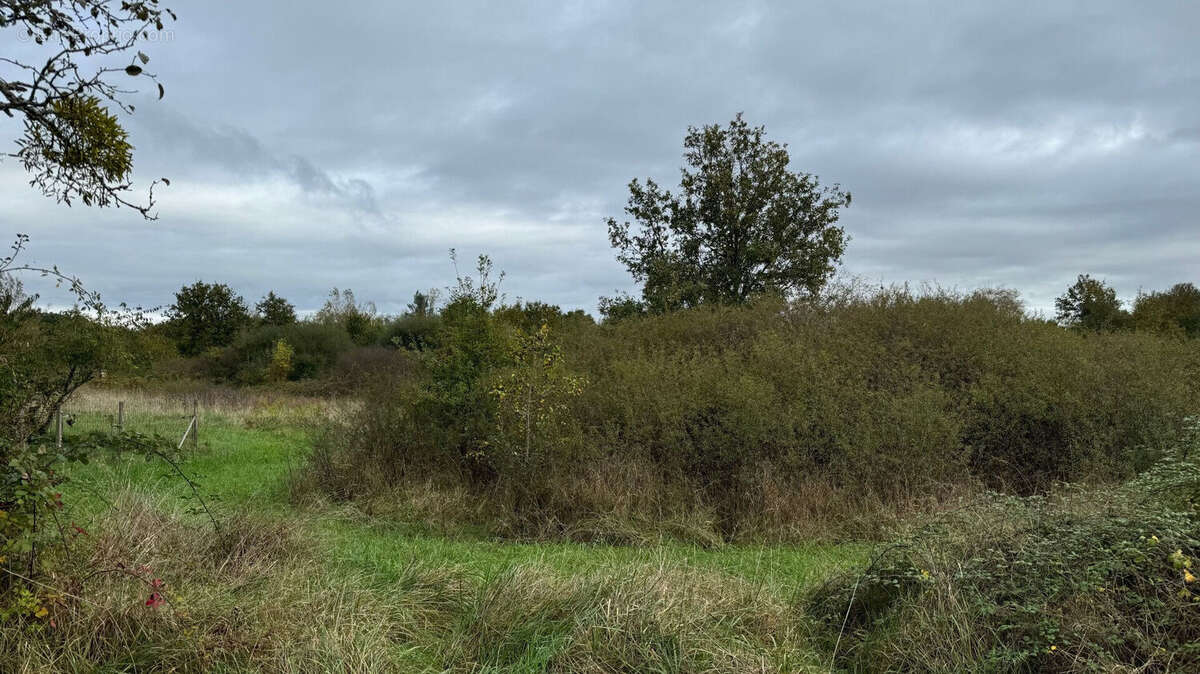 Terrain à ROMORANTIN-LANTHENAY