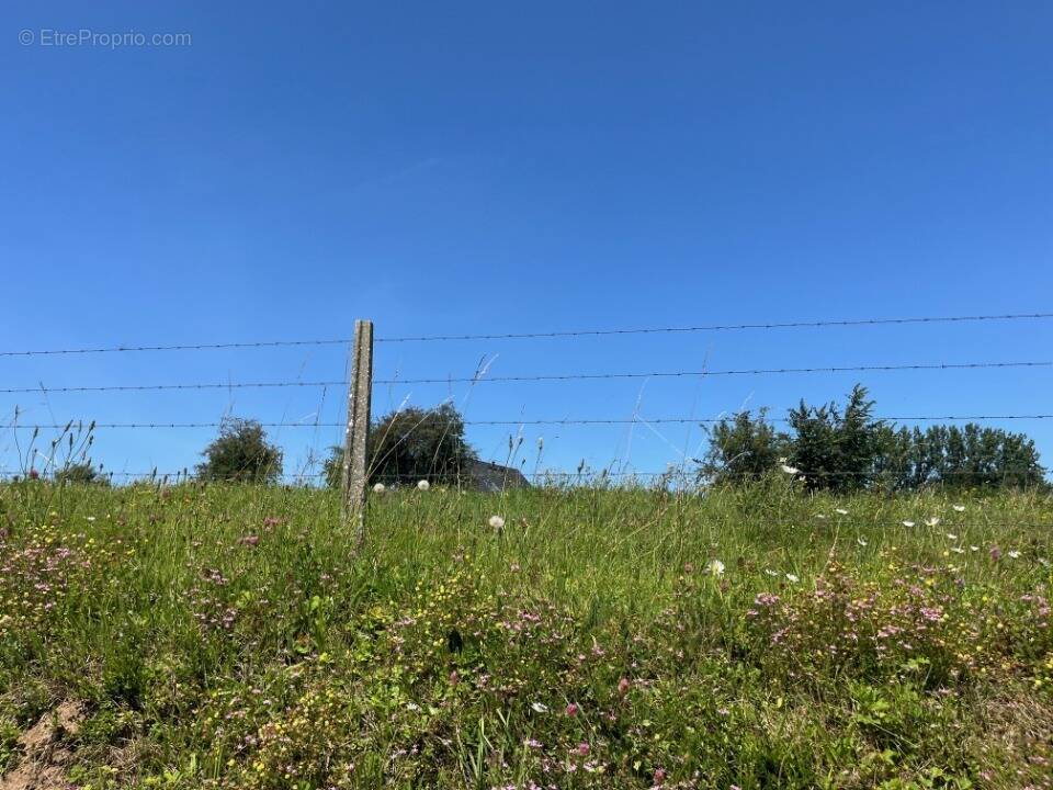 Terrain à OCHANCOURT
