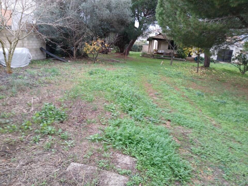 Terrain à AIMARGUES