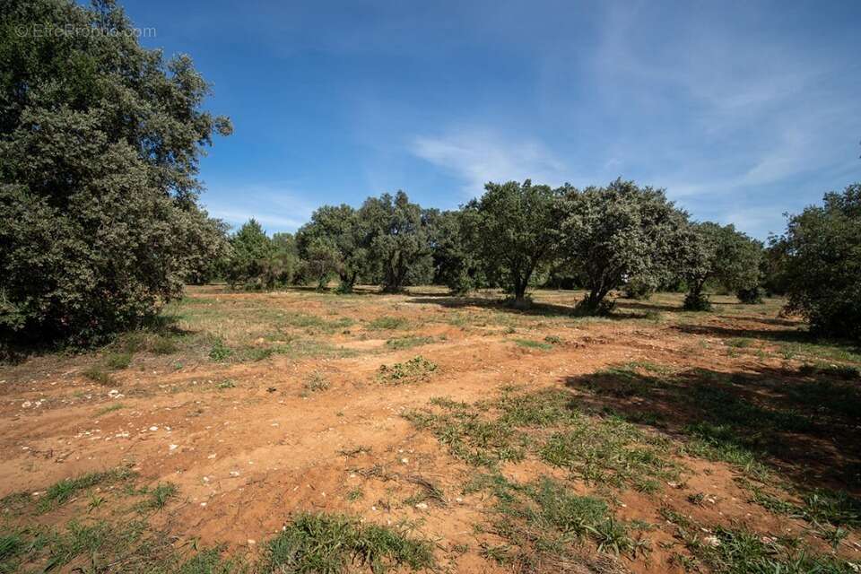 Terrain à SAINT-SIFFRET