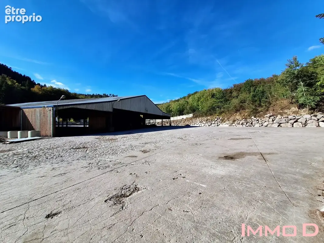 Commerce 3 400 m² à vendre à Docelles (88460) - photo 5