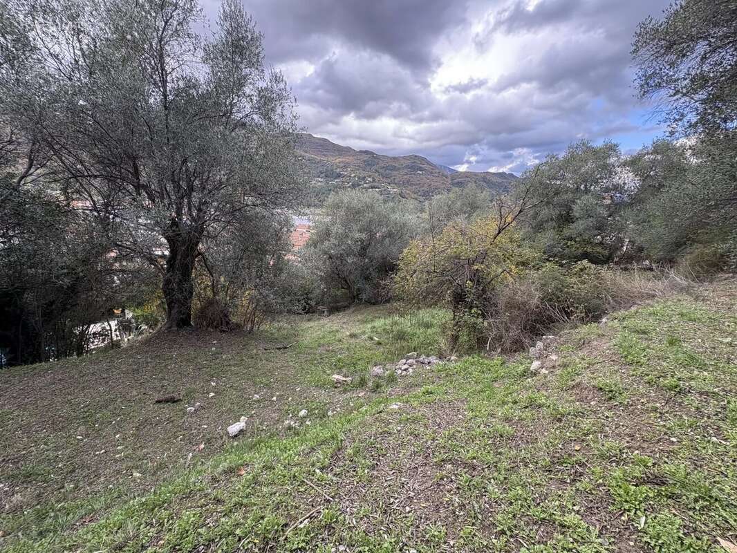 Appartement à SAINT-MARTIN-DU-VAR