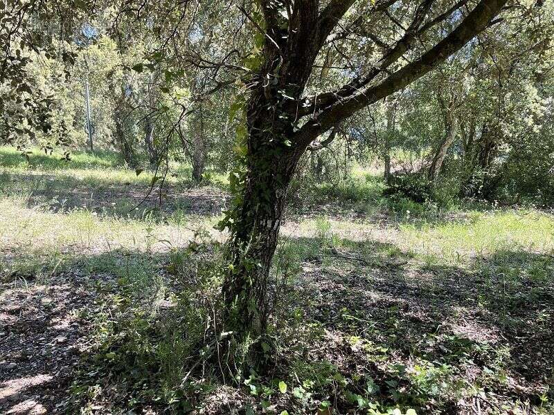 Terrain à LES CLUSES