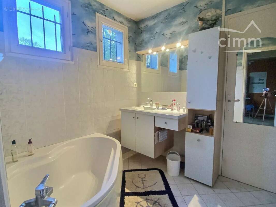 Maison à CHAUMONT-SUR-LOIRE