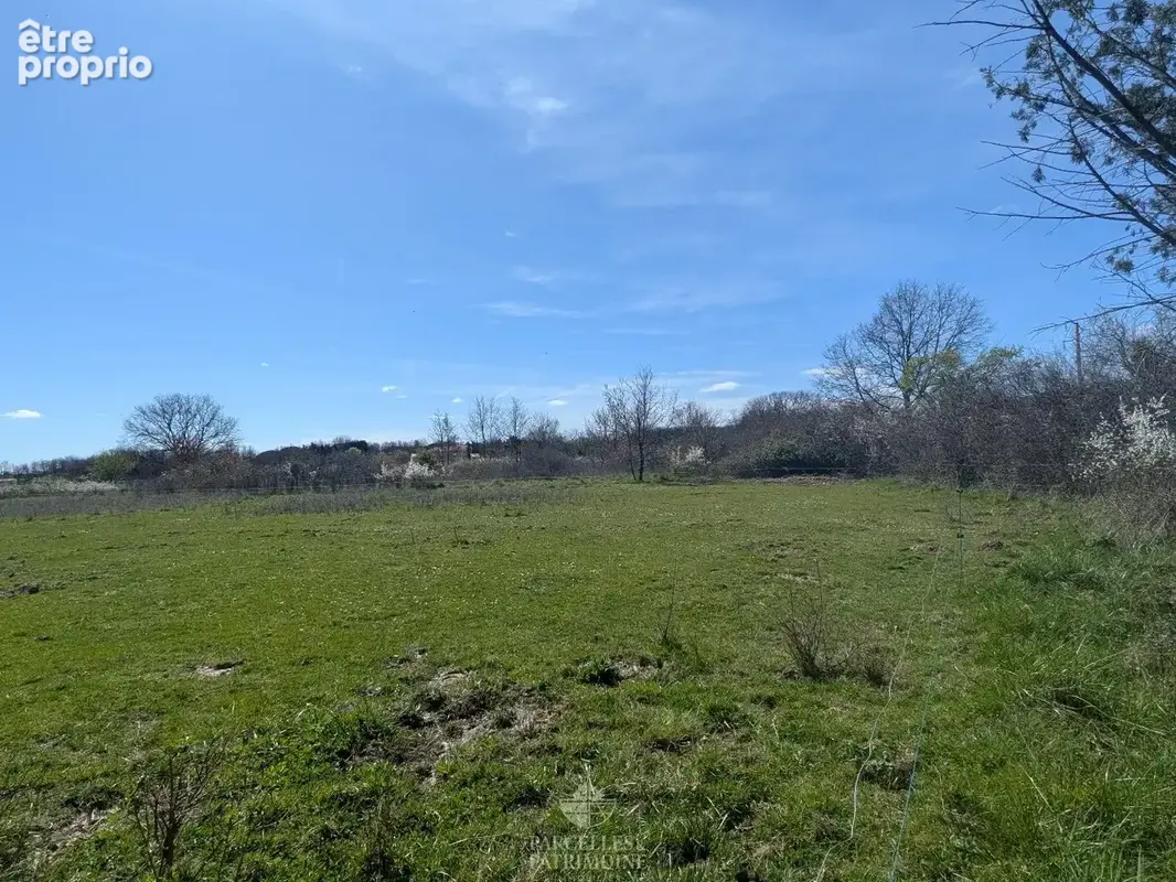 Exclusivité Terrain viabilisé de 3 717m² - photo 7
