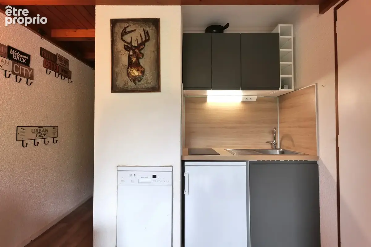Studio mezzanine - Vue Montagnes - photo 7