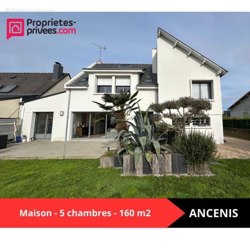 Maison à ANCENIS